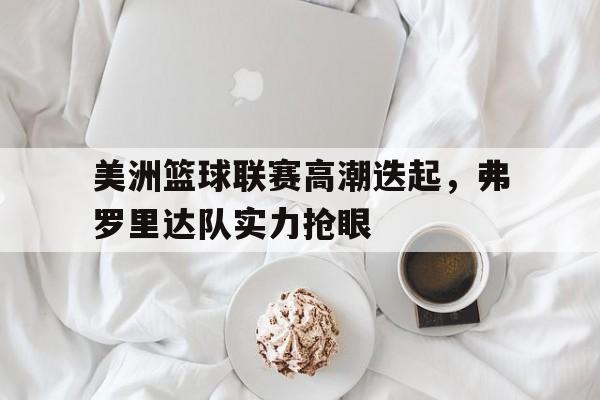 美洲篮球联赛高潮迭起，弗罗里达队实力抢眼的简单介绍
